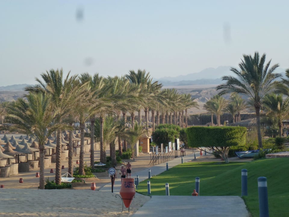 Weg zum Strand Steigenberger Coraya Beach - Adults only