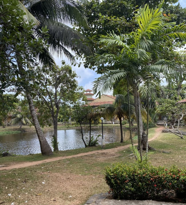 Gartenanlage Club Palm Bay