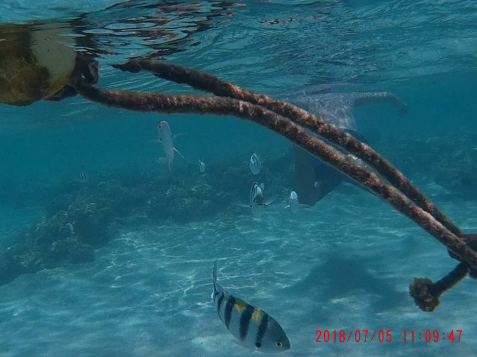 Strand Cleopatra Luxury Resort Makadi Bay