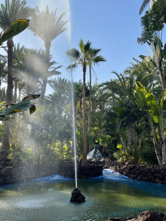 Gartenanlage Hotel Riu Palace Oasis