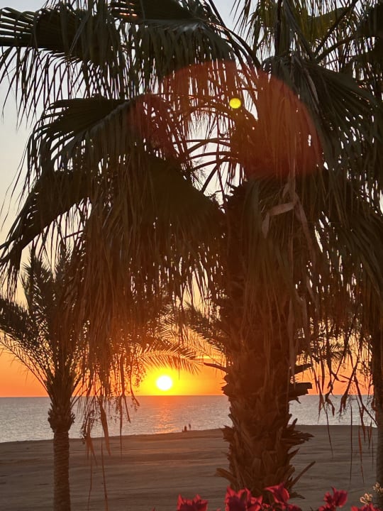 Strand Steigenberger Coraya Beach - Adults only