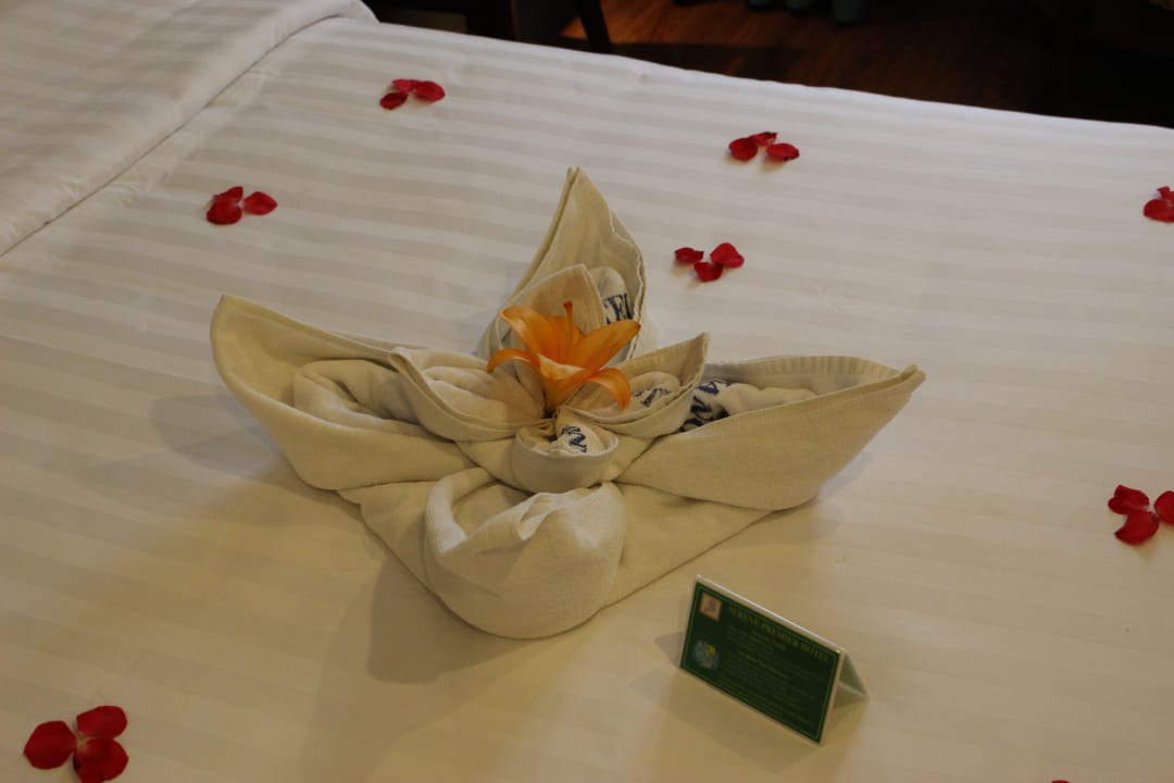 Zimmer Hanoi Serene Hotel