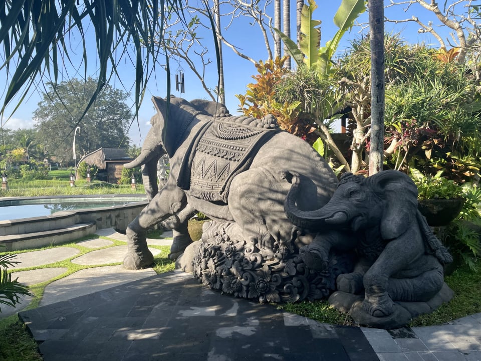 Pool Anumana Village Ubud