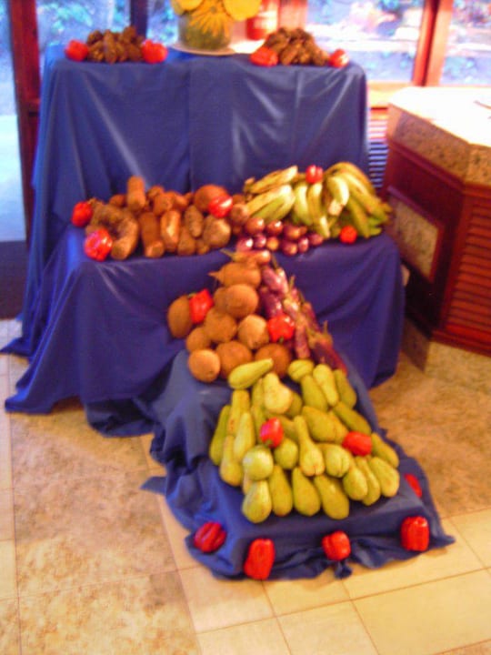 Früchtedeko Playabachata Hotel