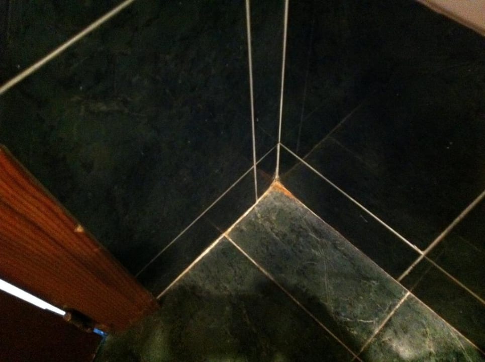 Noch mehr Dreck Sentido Fido Punta del Mar – Adults only