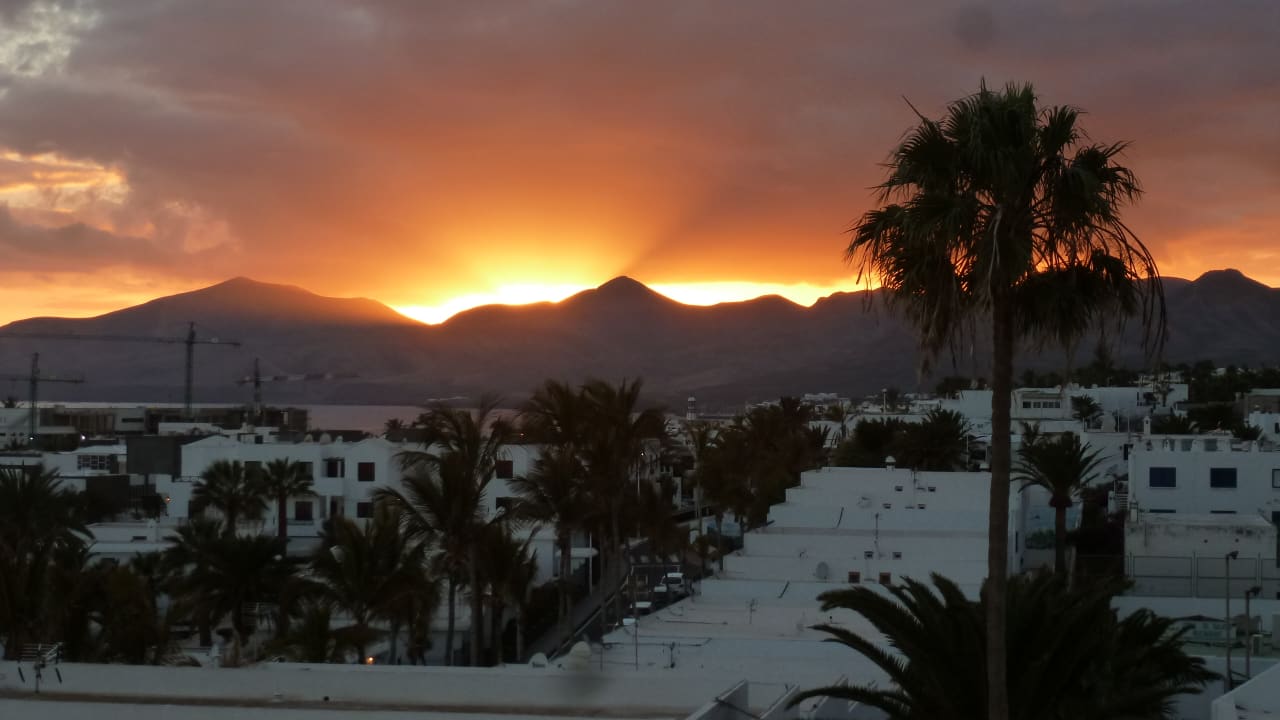 Ausblick Ereza Apartamentos Los Hibiscos- Adults Only