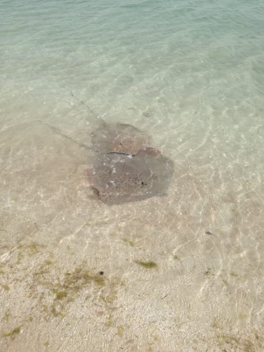 Strand Hampton by Hilton Marjan Island