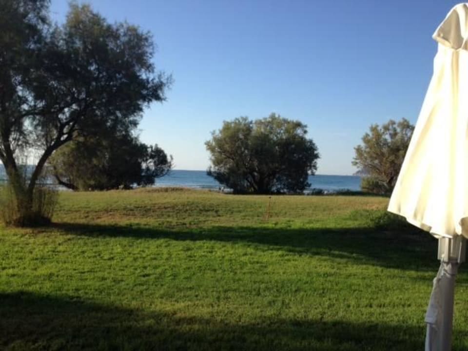 Nr 405 Domes Aulūs Zante, Autograph Collection