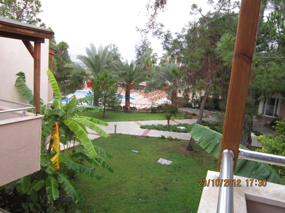 Pool und Garten hinten an der Snackbar Club Sidelya Hotel