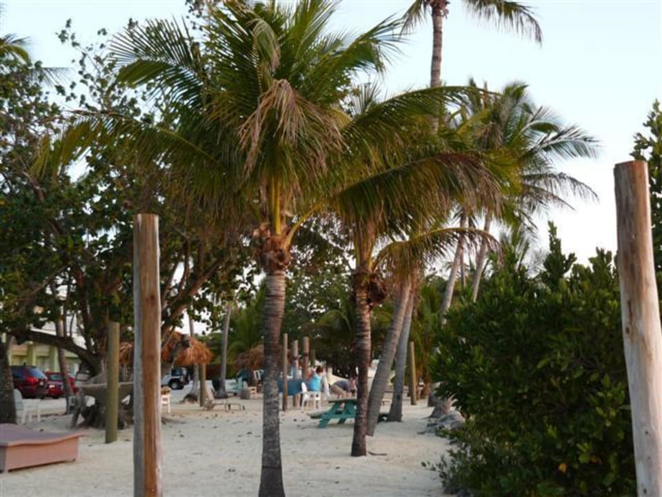 Der Garten mit schattigen Liegemöglichkeiten Hotel Lime Tree Bay Resort