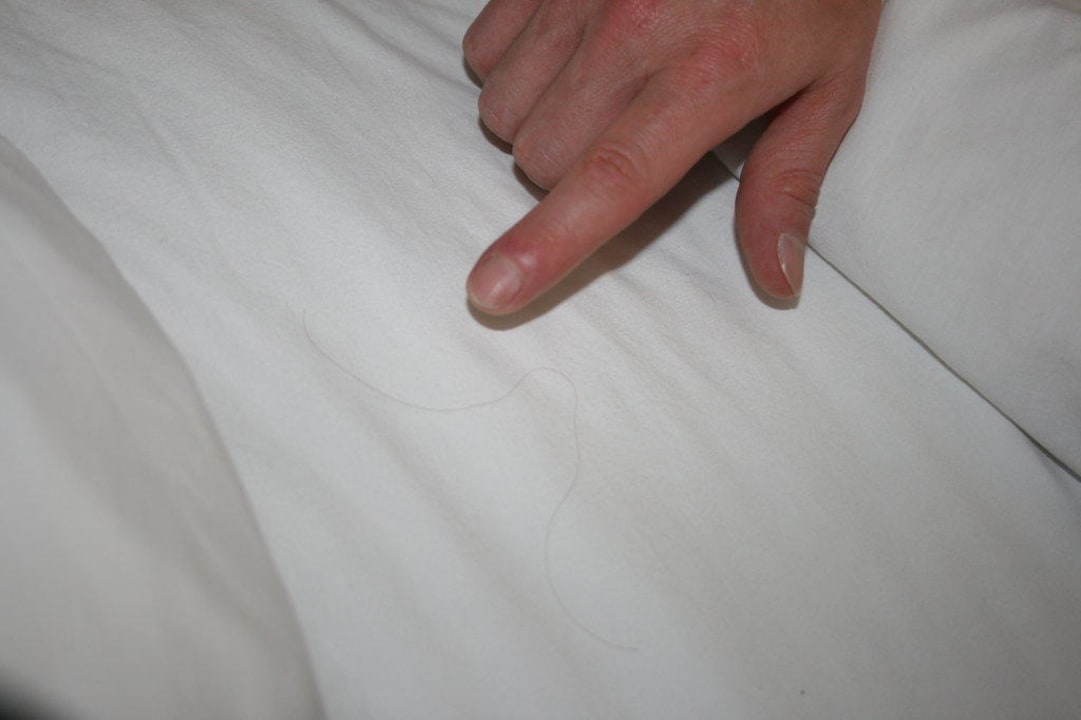 Haare im Bett am 1.Tag Days Inn by Wyndham Orlando Conv. Center/International Dr