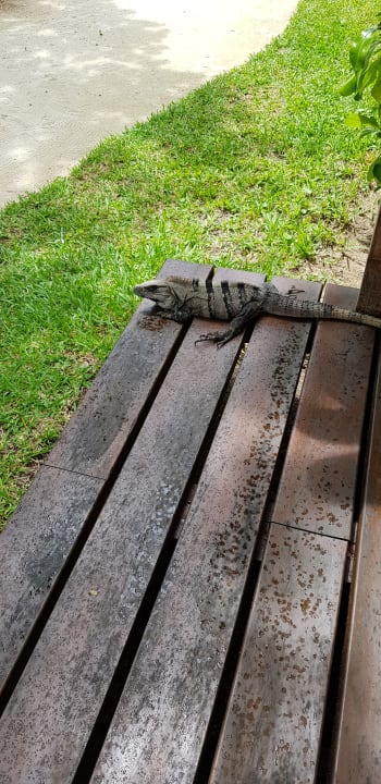 Zimmer Akumal Bay Beach & Wellness Resort