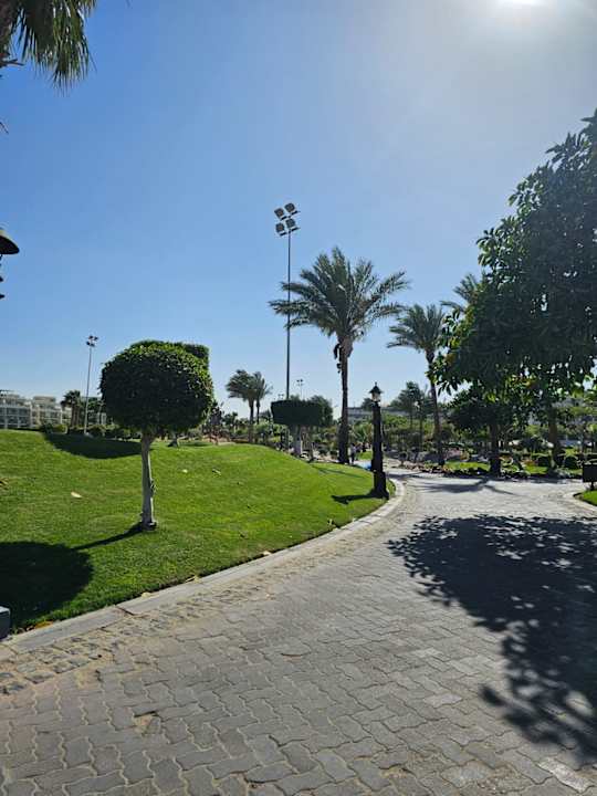 Ausblick Steigenberger Aqua Magic