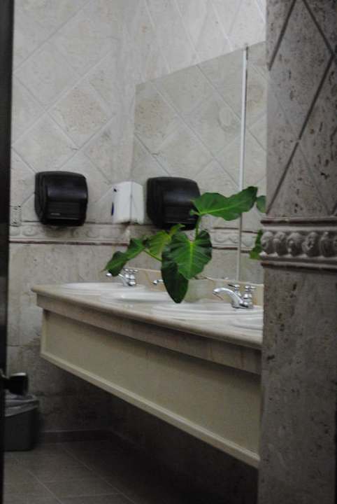 Öffentliches Bad BelleVue Dominican Bay