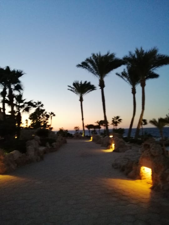 Strand Pickalbatros Citadel Resort