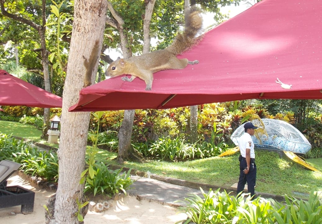 Strand The Laguna A Luxury Collection Resort & Spa