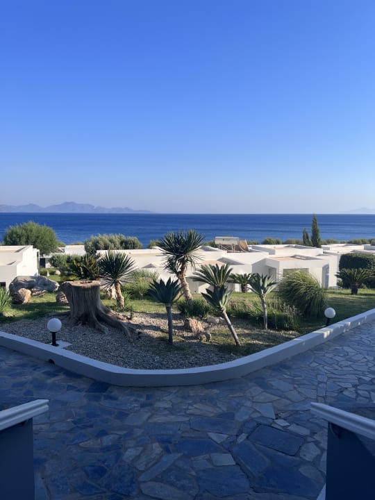 Ausblick Dimitra Beach Hotel & Suites