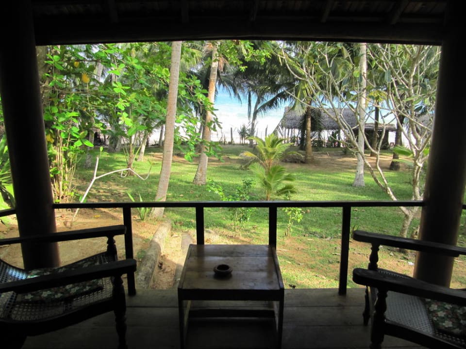 Ausblick von der Cabana Palm Paradise Cabanas