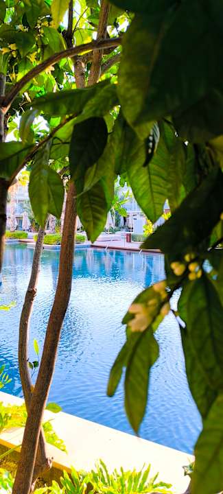 Pool Lara Barut Collection