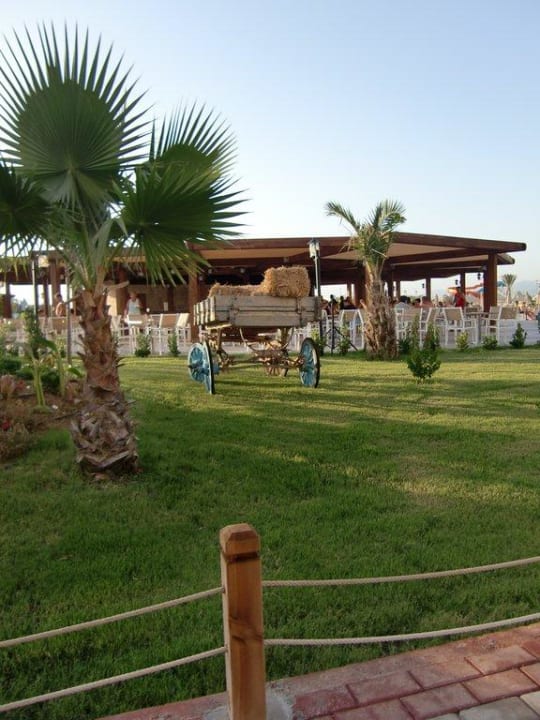 Gartenanlage Seaden Sea World Resort & Spa