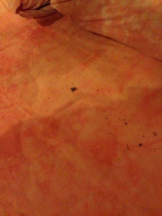 Dreck auf dem Bett  Varinda Garden Resort