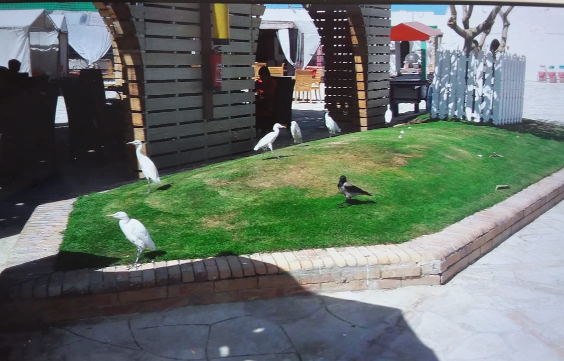 Gehören dazu  Hotel Mercure Hurghada