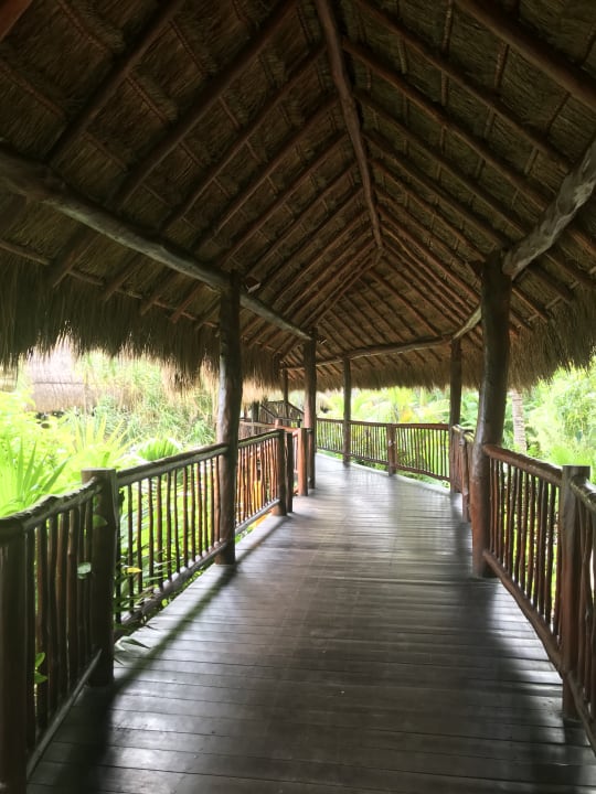 Gartenanlage Akumal Bay Beach & Wellness Resort