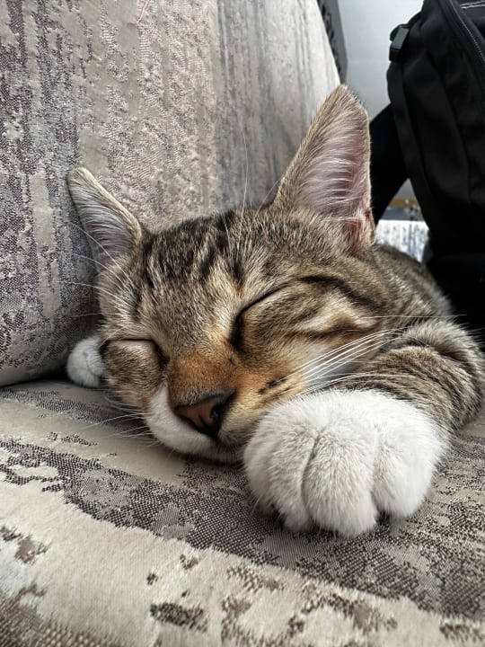 Sonstiges Seaden Corolla Hotel