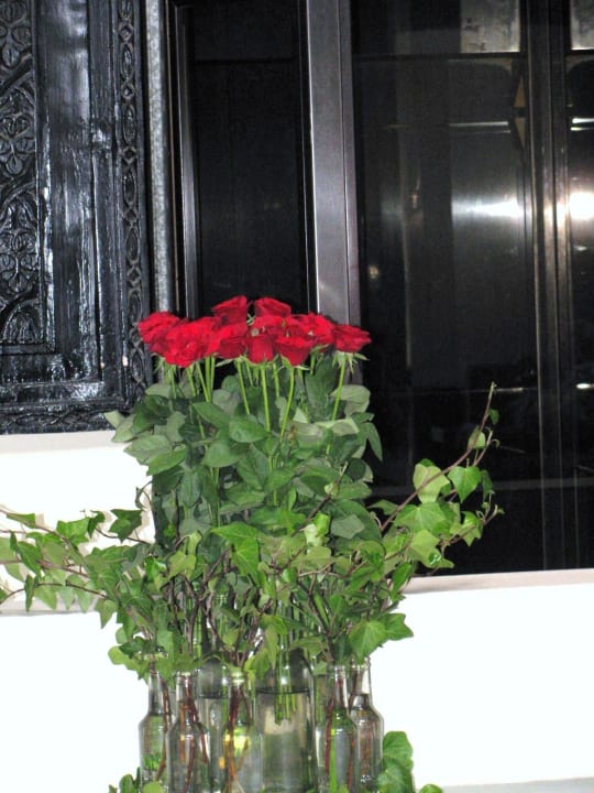 Immer frische Rosen Royal Decameron Tafoukt Beach