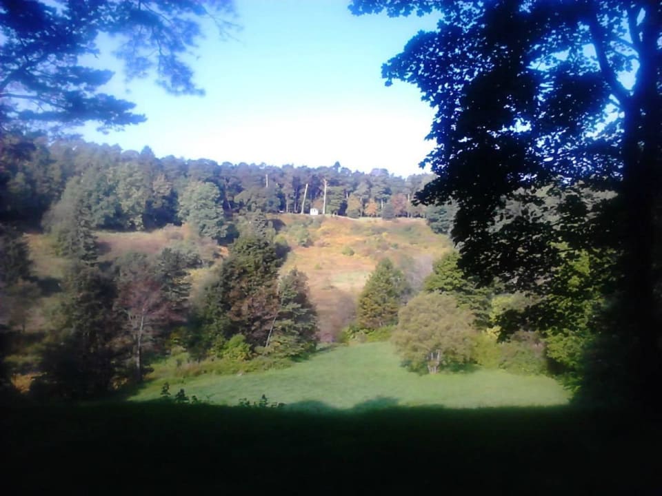 Парк Hotel Toila Spa