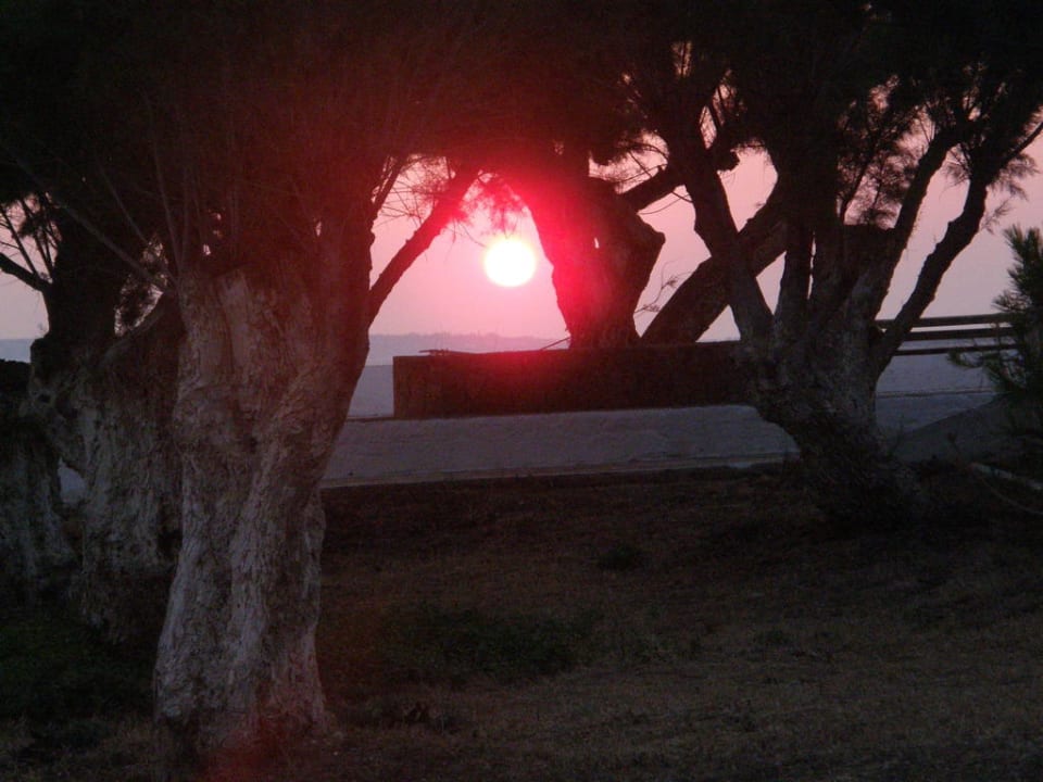 Sonnenuntergang allsun Hotel Carolina Mare