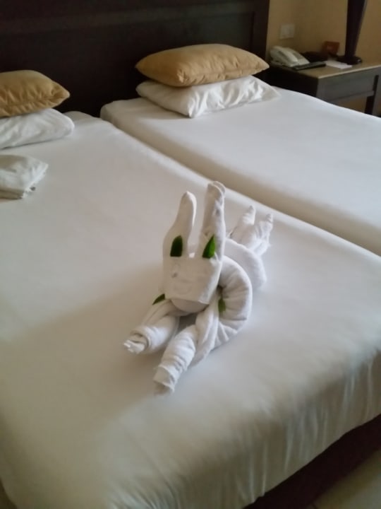 Zimmer Jaz Dar EL Madina