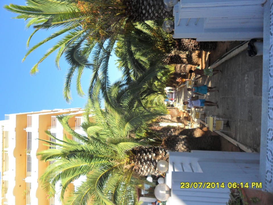 Garten Bei Juan Playa Blanca