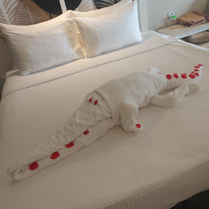 Zimmer Earl’s Reef Beruwala