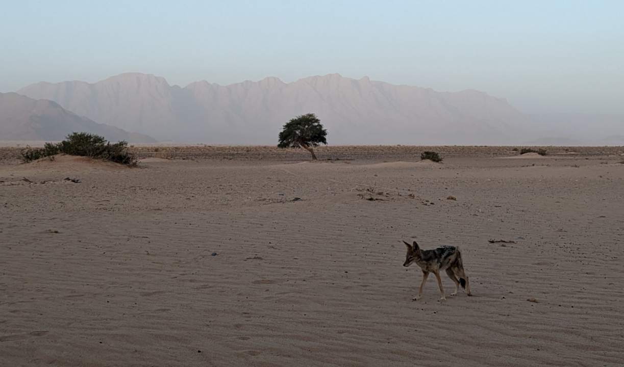 Ausblick Desert Camp