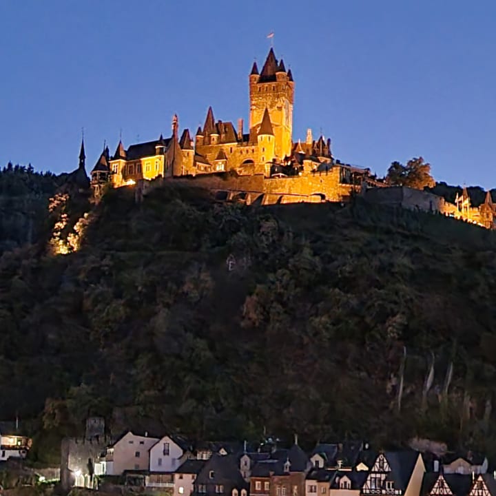 Ausblick Moselstern Hotel Brixiade & Triton