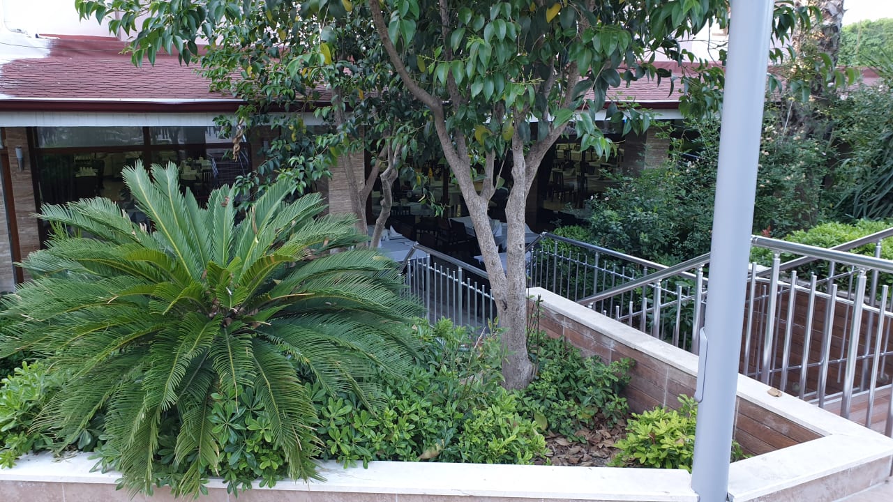 Gartenanlage Hane Family Resort