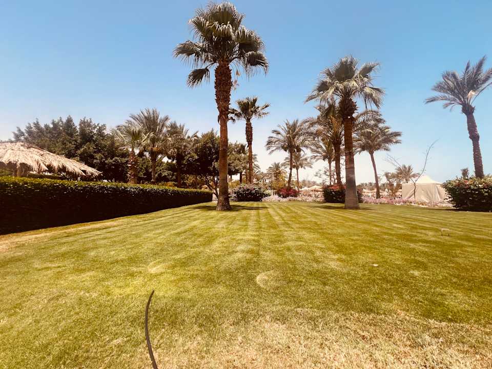 Gartenanlage Desert Rose