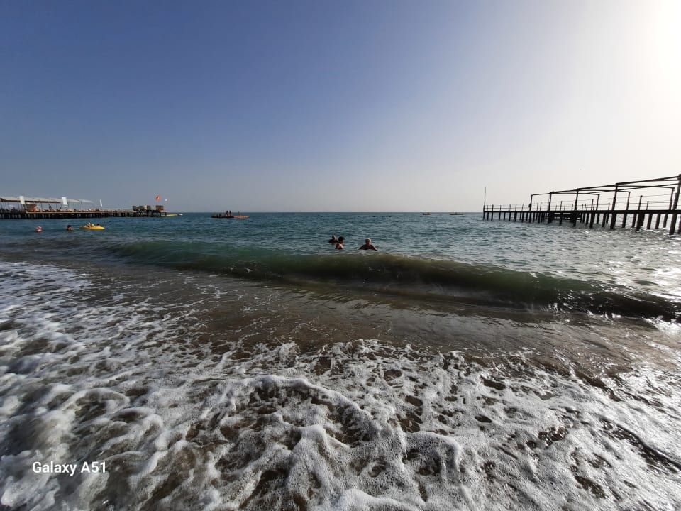 Strand Papillon Ayscha