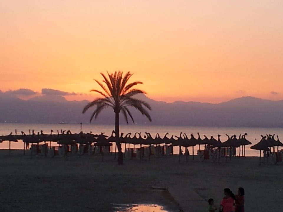 Nur 200 m HSM Reina del Mar