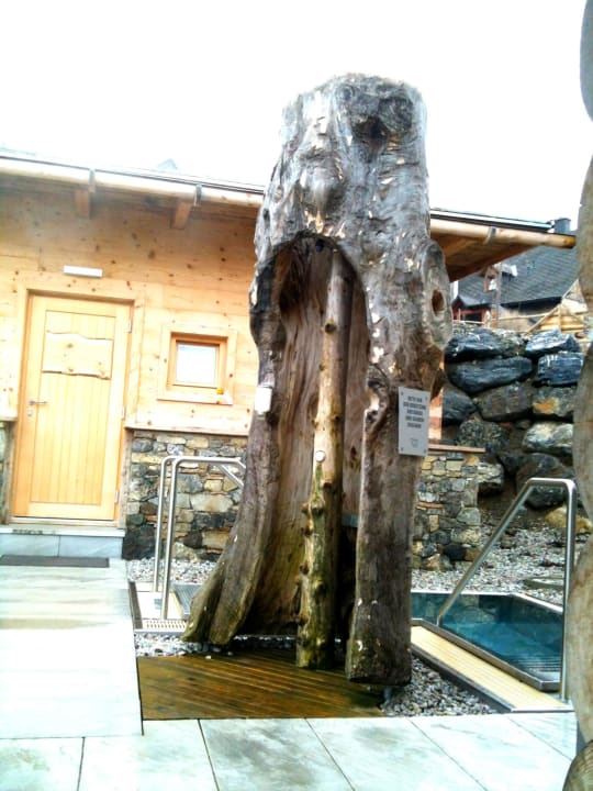 Baumdusche Almwellness Hotel Pierer