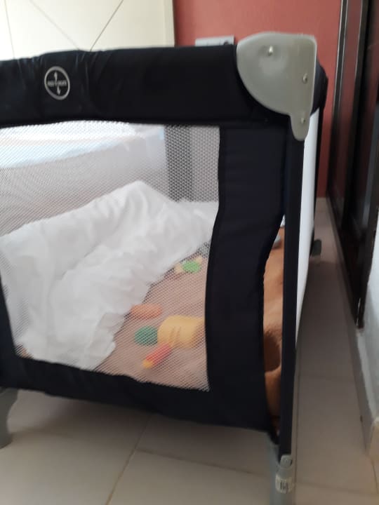 Zimmer blau punta reina