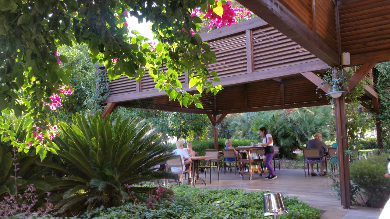 Gastro TUI MAGIC LIFE Beldibi +16