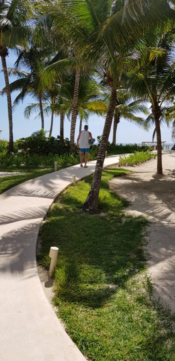 Gartenanlage Akumal Bay Beach & Wellness Resort