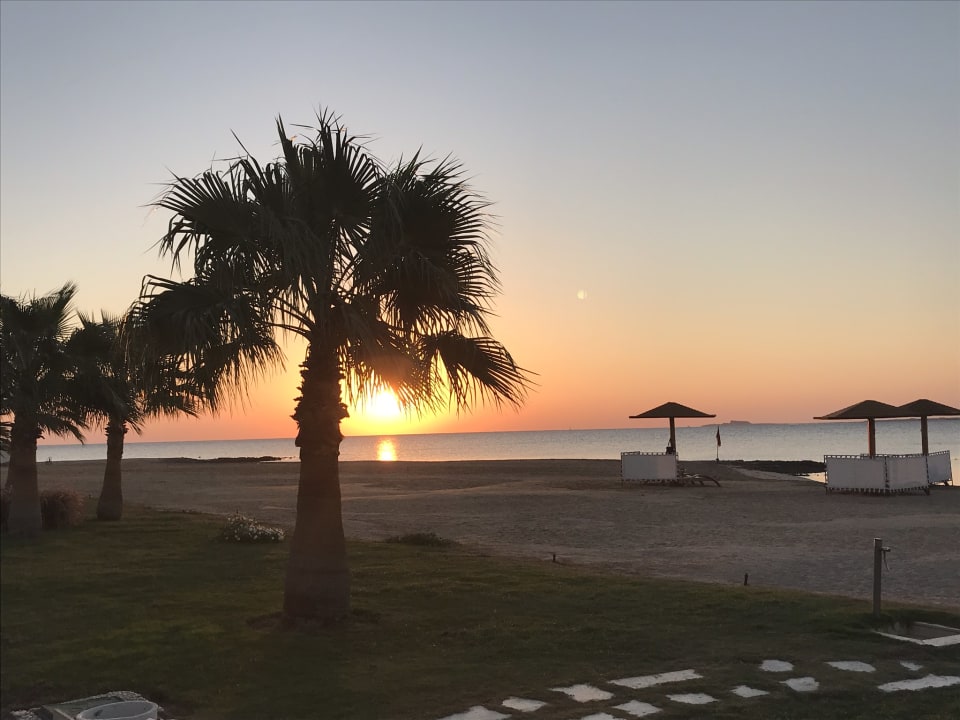 Strand Shams Prestige Abu Soma-Adults Only