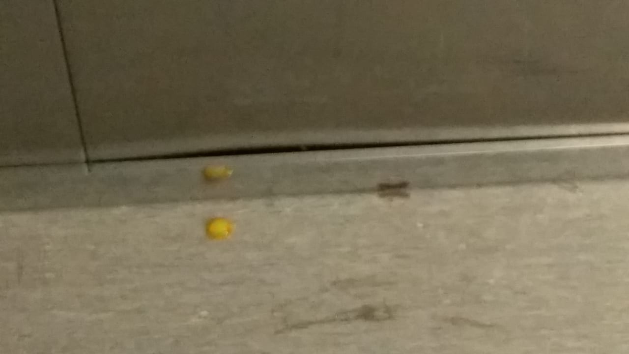 Gartenanlage Xanadu Island Hotel