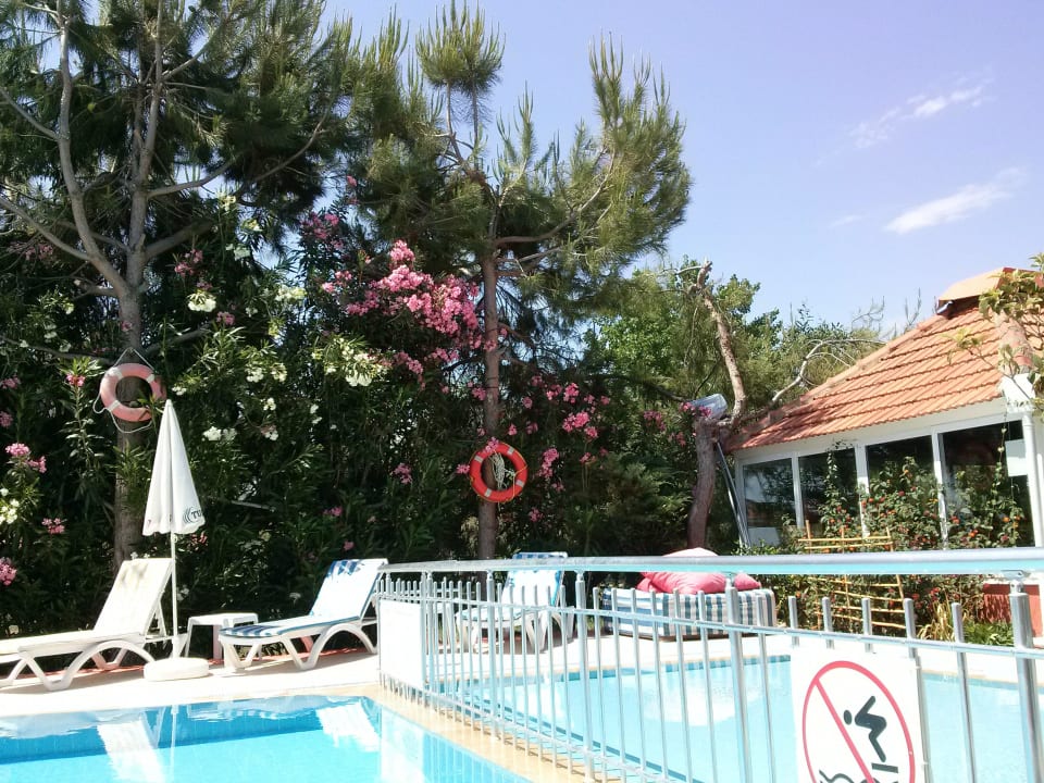 "flower power" Pool rechts  As Queen Beach