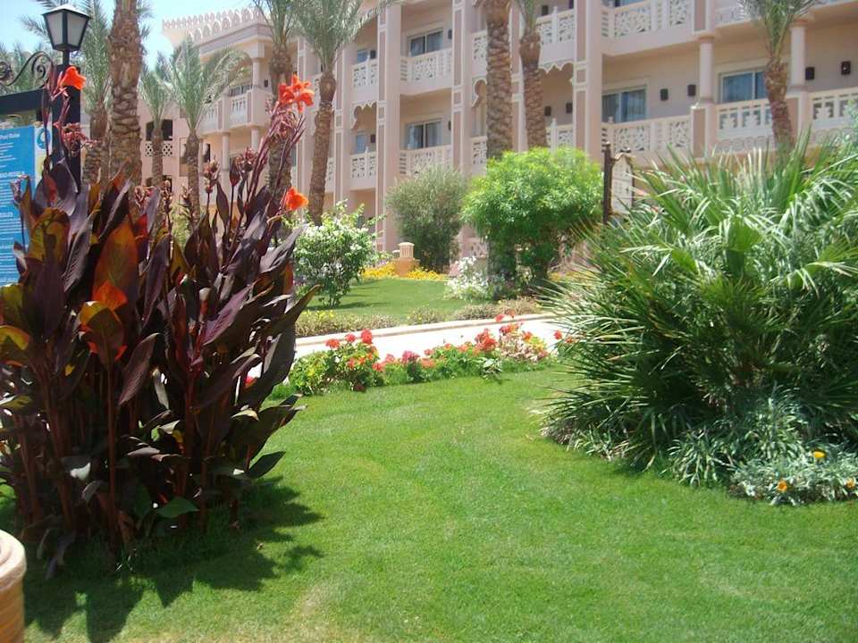 Gartenanlage Beach Albatros Resort