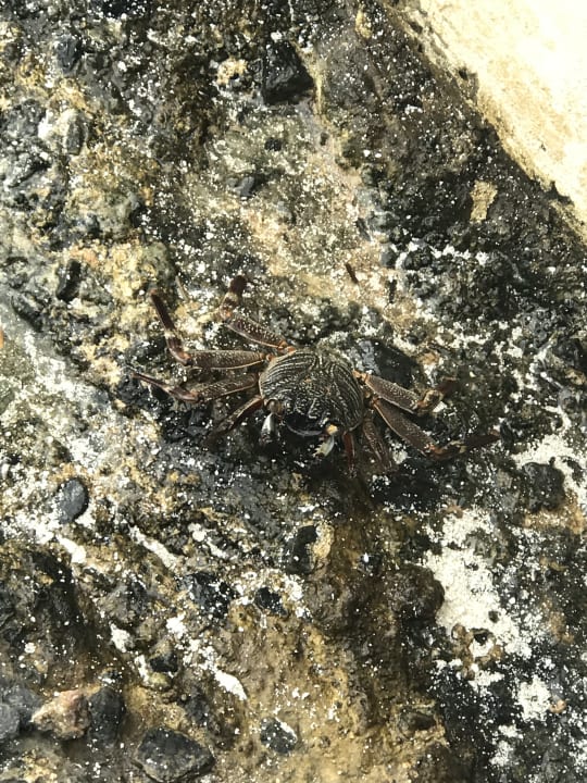 Strand Summer Island Maldives