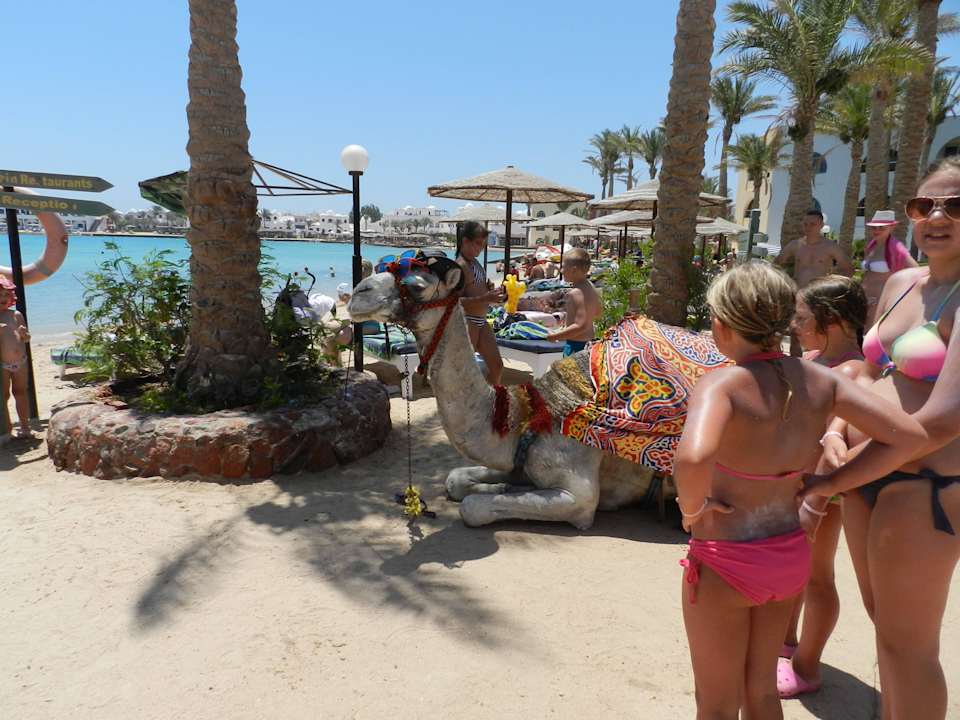 Plaża Arabia Azur Resort